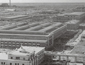 1955